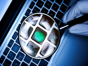 The Information Security Network